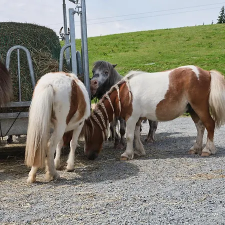 Blattlhof فندق 4*